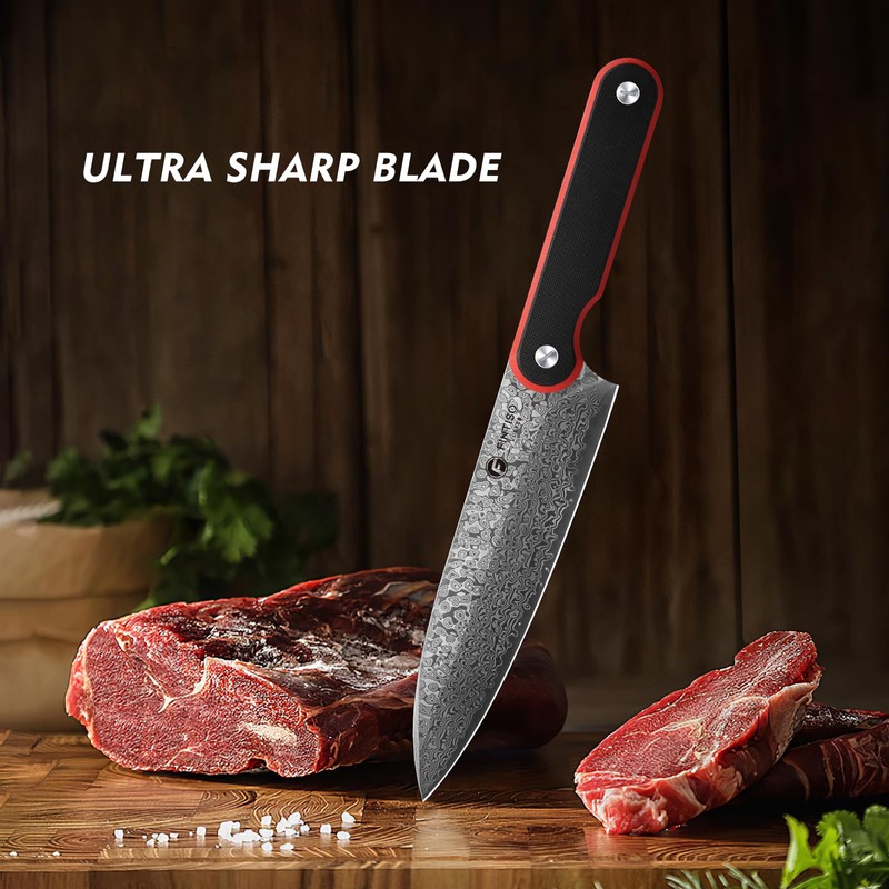 FINTISO Chef Knife 8 Inch, Professional 67-Layer Damascus Stainless Steel