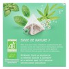 Elephant Herbal Tea Bags Organic Flavored Tea with Verbena Mint