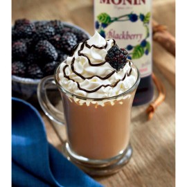 FixtureDisplays Monin Premium Blackberry Flavoring / Fruit Syrup 544SYPAR006A