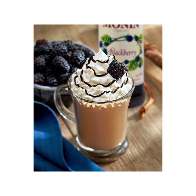 FixtureDisplays Monin Premium Blackberry Flavoring / Fruit Syrup 544SYPAR006A