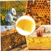 Daiilg Beeswax Sheets 10Pcs Beeswax Foundation Sheets Wax Foundation for