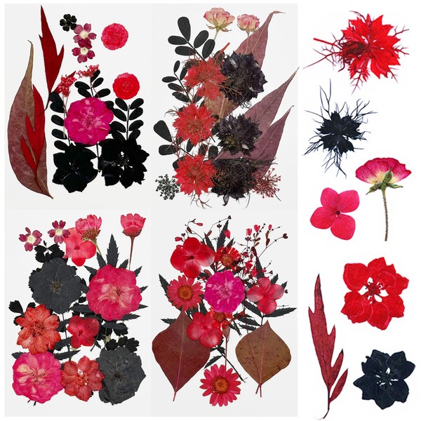 Cayway 64 PCS Dried Pressed Flowers for Resin, Red and