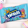 Big Chewy NERDS Jelly Beans | Assorted Candy Flavors of