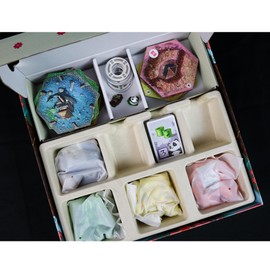 Takenoko Board Game - Bamboo Garden Strategy Game with Panda Miniatures, Fun Family Game for Kids & Adults, Ages 8+, 2-4 Players, 45 Minute Playtime, Made by Surfin' Meeple