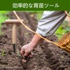 Hole Digger Hand Diver with Wooden Handle, Hole Punch, Seedling