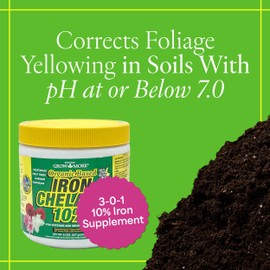 Grow More 3-0-1 Organic Iron Chelate Concentrate (10%) for Greener Plants & Lawns - 8oz of Water Soluble Chelated Iron Supplement for Indoor & Outdoor Plants, Trees, & Lawns