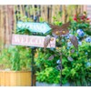 TAKE ME Owl Garden Solar Lights Outdoor, Solar Powered Stake