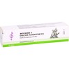 Biochemie 1 Calcium Fluoride Atum D 6 Cream 100 ml