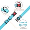 Reflective Dog Collar and Leash Set with Safety Locking Buckle