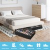 Under Bed Shoe Storage Organizer for Closet, Fits 32 Pairs