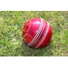 Cricket Ball - Red Leather Match Quality (Adult Men's, Senior)