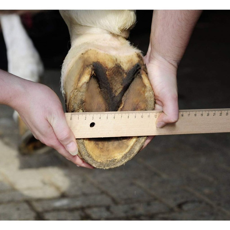 HKM Hoof Boot for Horses Size 7