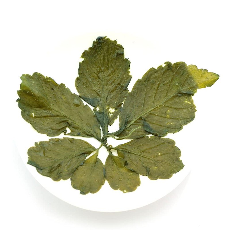 GOARTEA 100g / 3.5oz Premium Seven Leaf Jiaogulan Gynostemma Chinese