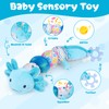 Baby Toys 6-12 Months