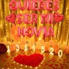 QUIERES SER MI NOVIA Balloons with 1000pcs Red Artificial Rose