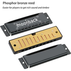 Harmonica Holder Set, 10 Holes Diatonic Blues Harmonica Key of C, Adjustable and Professional Harmonicas Holder Neck For Beginner, Students, Adult, Friends, Gift Update