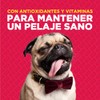 CAMPI Fidus Pro Comida para Perro Adulto Razas Pequeñas Alto