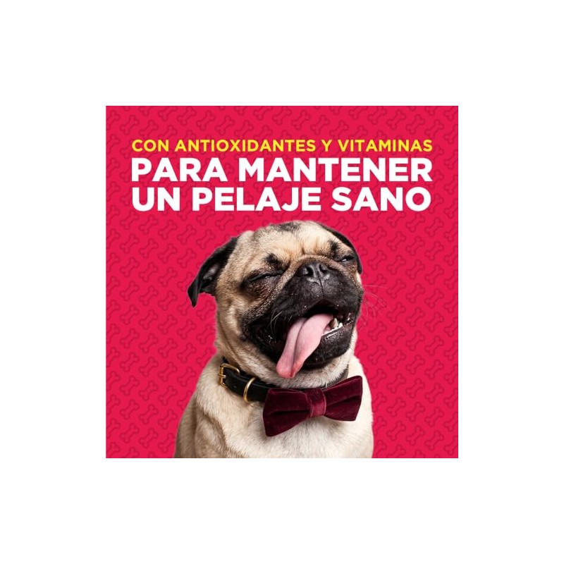 CAMPI Fidus Pro Comida para Perro Adulto Razas Pequeñas Alto