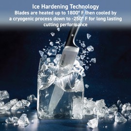 T-fal Ice Force German Stainless Steel Steak Knife Set 4 Piece, Long Lasting Sharpness, High Cutting Precision, Superior Durability, Ultra Sharp Blades, Cookware Kitchen Knife, Cook Tool, BBQ, Black‌