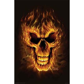 Hot Stuff 1058-16x20-SD Flame Skull Poster