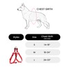 EXCELLENT ELITE SPANKER No Pull Dog Harness Adjustable Nylon Step-in