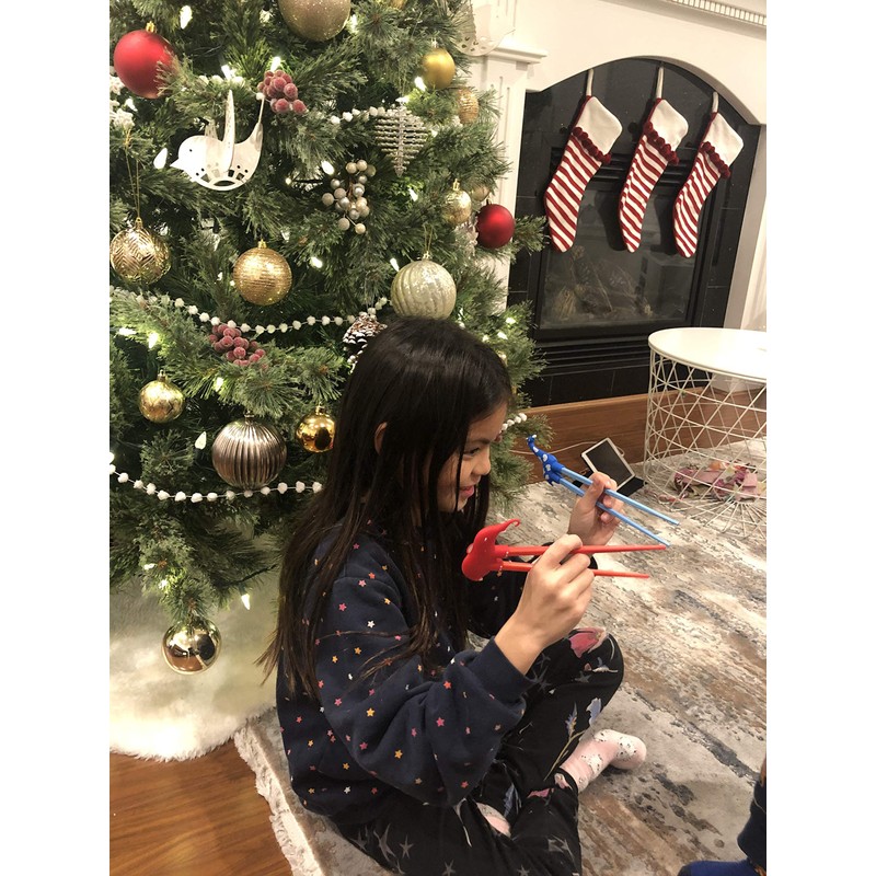 Kids Training Chopsticks for Toddlers, Kids and Adults with 4