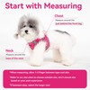 Petank Dog Harness for Small Medium Dogs No Pull, Puppy