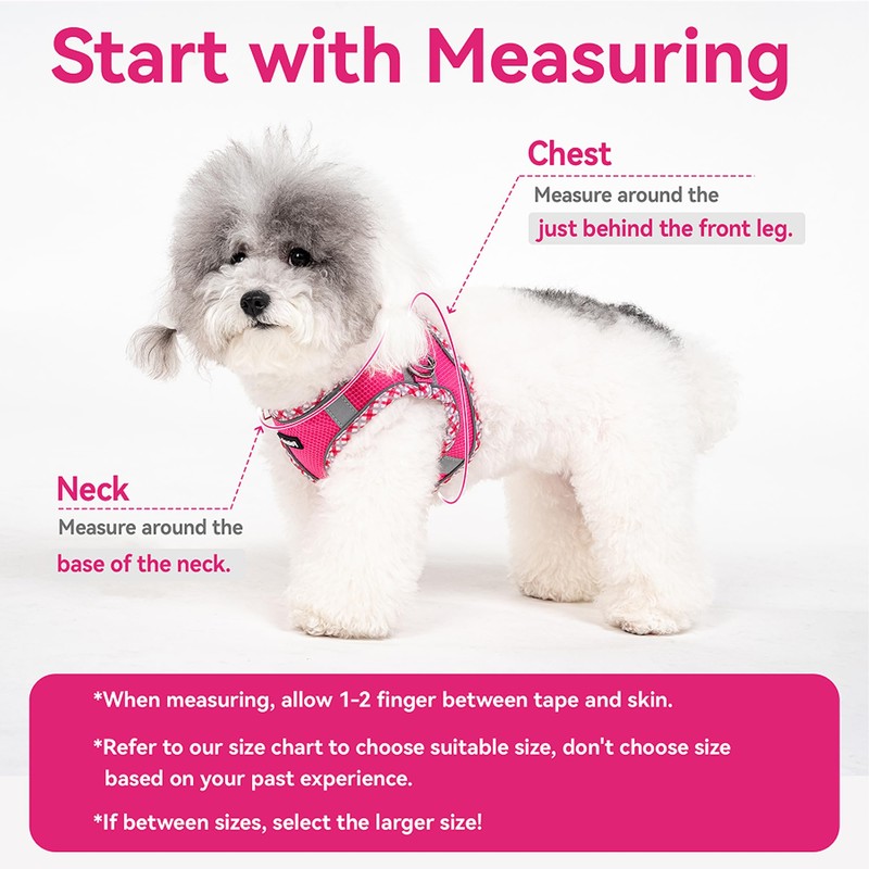 Petank Dog Harness for Small Medium Dogs No Pull, Puppy