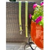 My Furry Crush Basil Green Small 4 Ft Leash, Neoprene