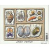 Belgium 3467-3472Fb Folienblatt (complete.issue.) unmounted mint/never hinged ** MNH 2005 Mussels and Snails (Stamps for collectors) Invertebrates Other (insects, snails, bees…)