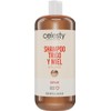 CELESTY Shampoo sin Sulfatos y Parabenos - Shampoo De Trigo