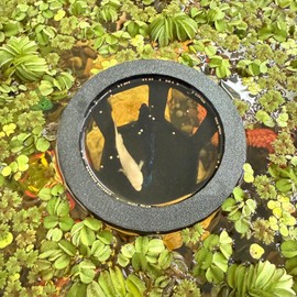 HOZOE Aquarium Betta Hammock, Betta Hideout & Cave, Floating Feeding Ring for Fish and Shrimp, Aquarium Floating Decoration Accessory (Black)