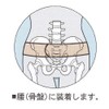Acute Lower Back Pain/gikkuri腰/Pelvis Wide Band/20 cm Wide/Chronic Back Pain/Pelvis with