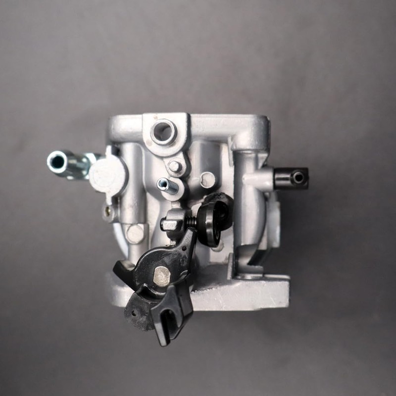 LIZAPUS Carburetor Carb Compatible with Briggs & Stratton Snow Thrower