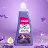 Clorox Scentiva Liquid Dish Soap, Tuscan Lavender & Jasmine Scent