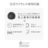 Final (ファイナル) TWS Earphone Earpiece (TYPE E Exclusively for Completely