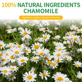 Rilltea Milk Chamomile Tea bags, 50 Teabags - Pure & Natural Chamomile Flower Herbal Tea for Relaxation - Non-GMO - Caffeine-free - Support Digestion & Boost Immune System