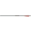 Easton XX75 Magnum Bolt 20IN Flat Nock 2219 Factory 4"