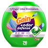 Gain Flings Laundry Detergent Pacs with Odor Defense, 76 Count,