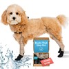 Walkee Paws Easy-On Dog Boots + Leggings & Chest Strap