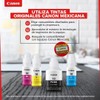 Canon Tinta GI-10 M Botella De Tinta Magenta con 70ml