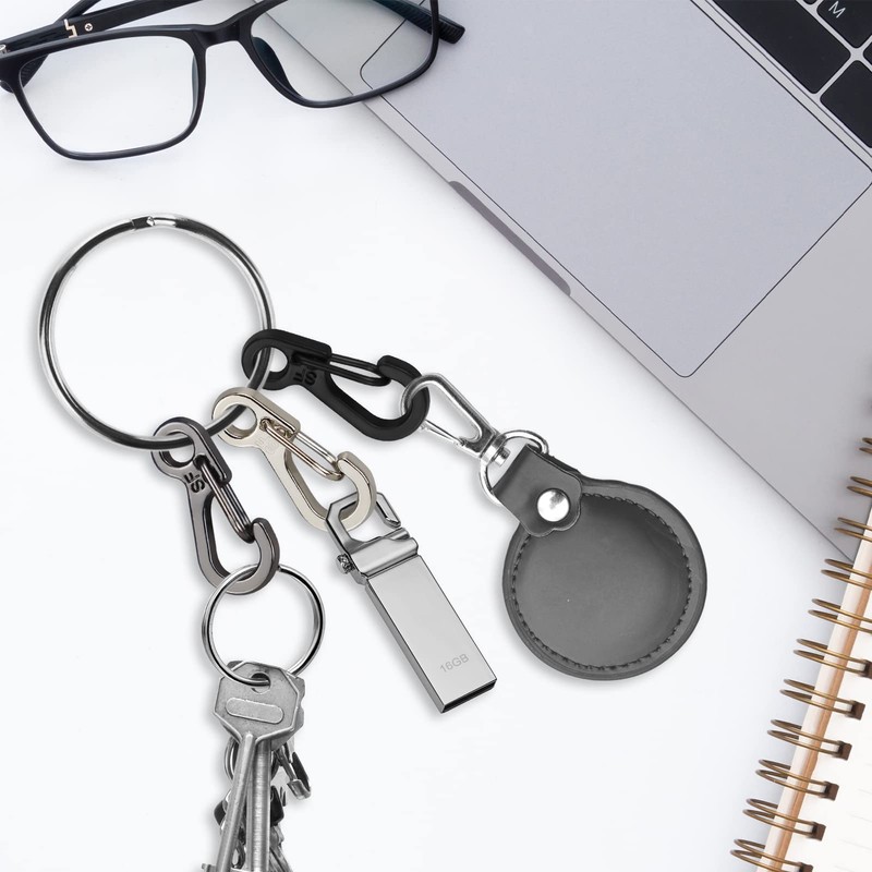 LAMXD Mini Carabiner Clip, Tiny Carabiners Set, Spring Snap Keyring
