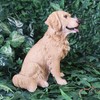 Vivid Arts - Golden Retriever - XRL-GR03-D
