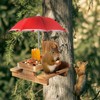 Gnodary Squirrel Feeder with Umbrella, Squirrel Feeders for Outside, Squirrel