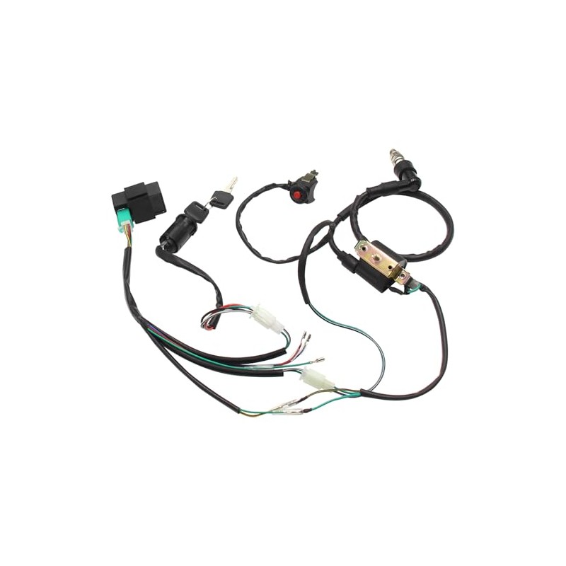 Lifan YX Complete Kick Starter Engine Wiring Wire Harness Loom