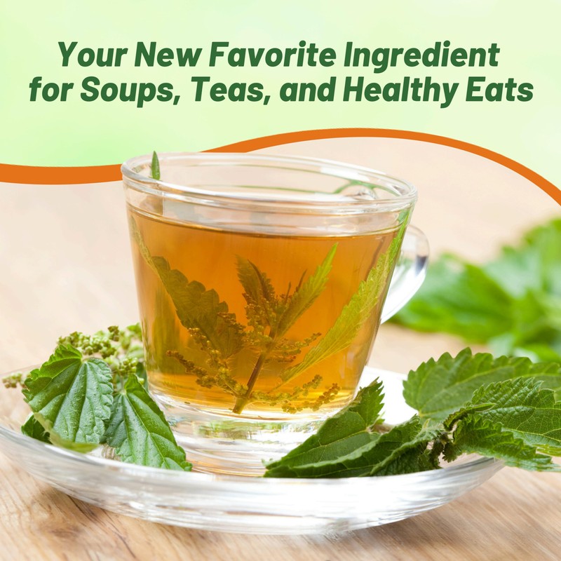 Outsidepride Stinging Nettle Seeds - 10000 Pcs Perennial and Low