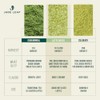 Jade Leaf Matcha Latte Mix Ligeramente Endulzado con Azúcar de