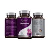 Redfood Milk Thistle Premium Extract, 500 mg Milk Thistle Extract