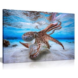 Panther Print Fine Art Prints Dancing Octopus Underwater Artistic Framed Canvas Print, Pictures for Home Walls, Bedroom, Living Room & Bathroom Decor 31x20cm (12x8in)