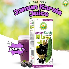 BASIC AYURVEDA Jamun Karela Herbal Mix Juice | Made with Indian BlackBerry & Bitter Gourd | Natural Herbal Blend for Skin & Eye Care | Supports Oral Health & Cleansing | 16.23 Fl Oz (480ml)
